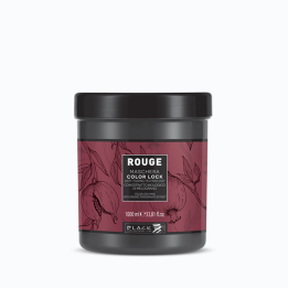Mask PostColoration 1000 ml