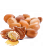 Argan